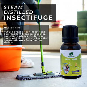 
                  
                    Insectifuge Insect Repellent
                  
                