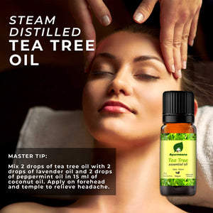 
                  
                    Tea Tree Essential Oil
                  
                